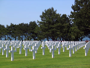 November Grave yard pic