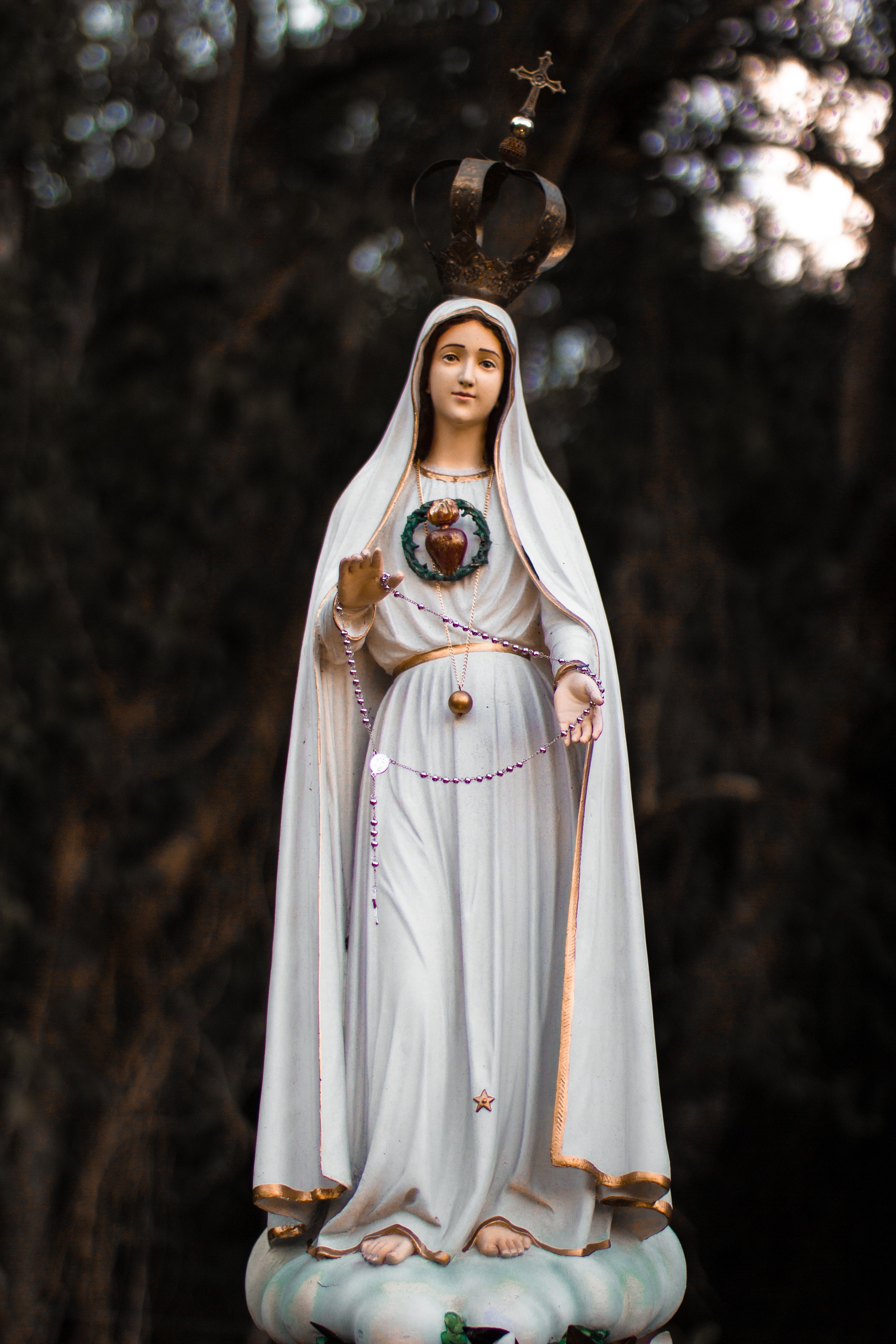Immaculate Heart of Mary, Our Lady of the Rosary, Sacred heart of Mary, 